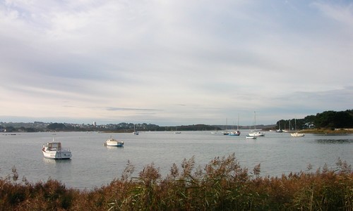 Arrière-port Arrière-port