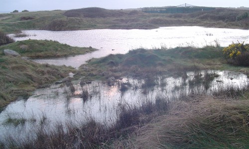 Mares sur le Dourlin en hiver Mares sur le Dourlin en hiver
