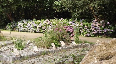 Le jardin du Druide